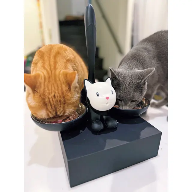 チャイ　ピロシキ