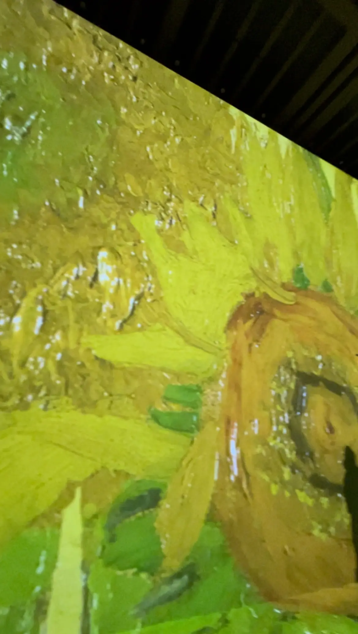 Immersive Museum TOKYO 2023、イマーシブミュージアムTOKYO 2023、ミュージアム内、映像、ゴッホ、ひまわり、向日葵、ゴッホ、フィンセント・ファン・ゴッホ、ポスト印象派、印象派、フィンセント・ヴィレム・ファン・ゴッホ