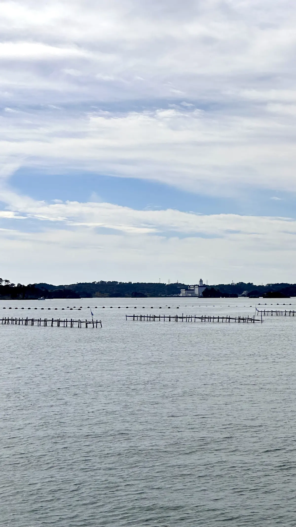 【秋の仙台旅行】「宮島」と「瑞巌寺」で鷹の画像_7