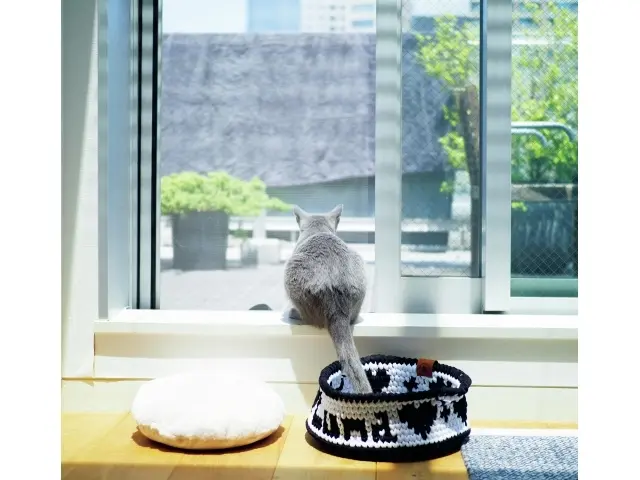 取材当日も粗相を実行したPJW