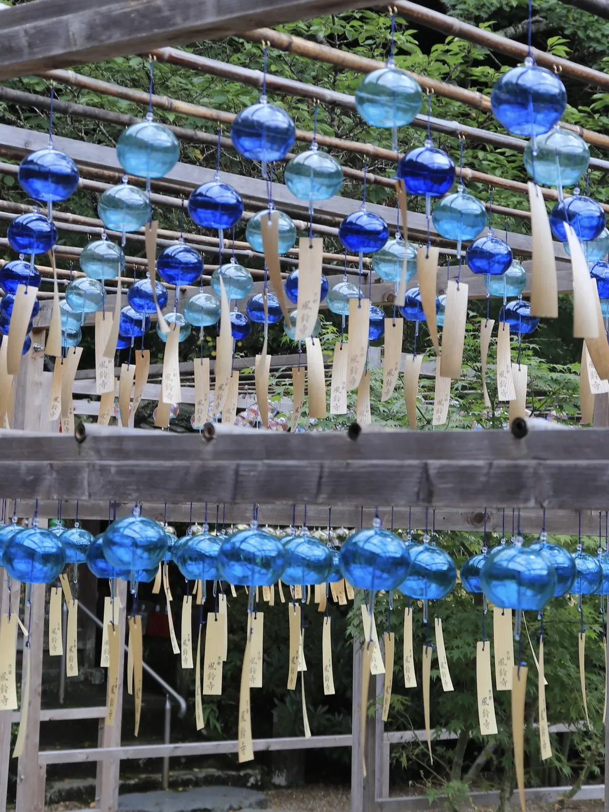 正寿院 風鈴まつり 京都　風鈴寺　宇治
