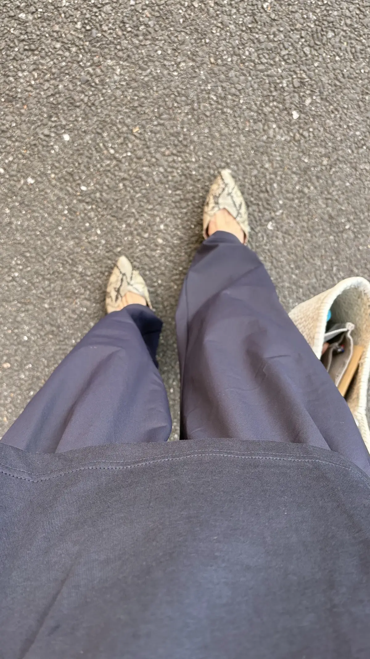 ワントーンコーデ　ユニクロ　アクティブワイドパンツ　ネイビーコーデ　きれいめカジュアル　パイソン柄　エイチアンドエム