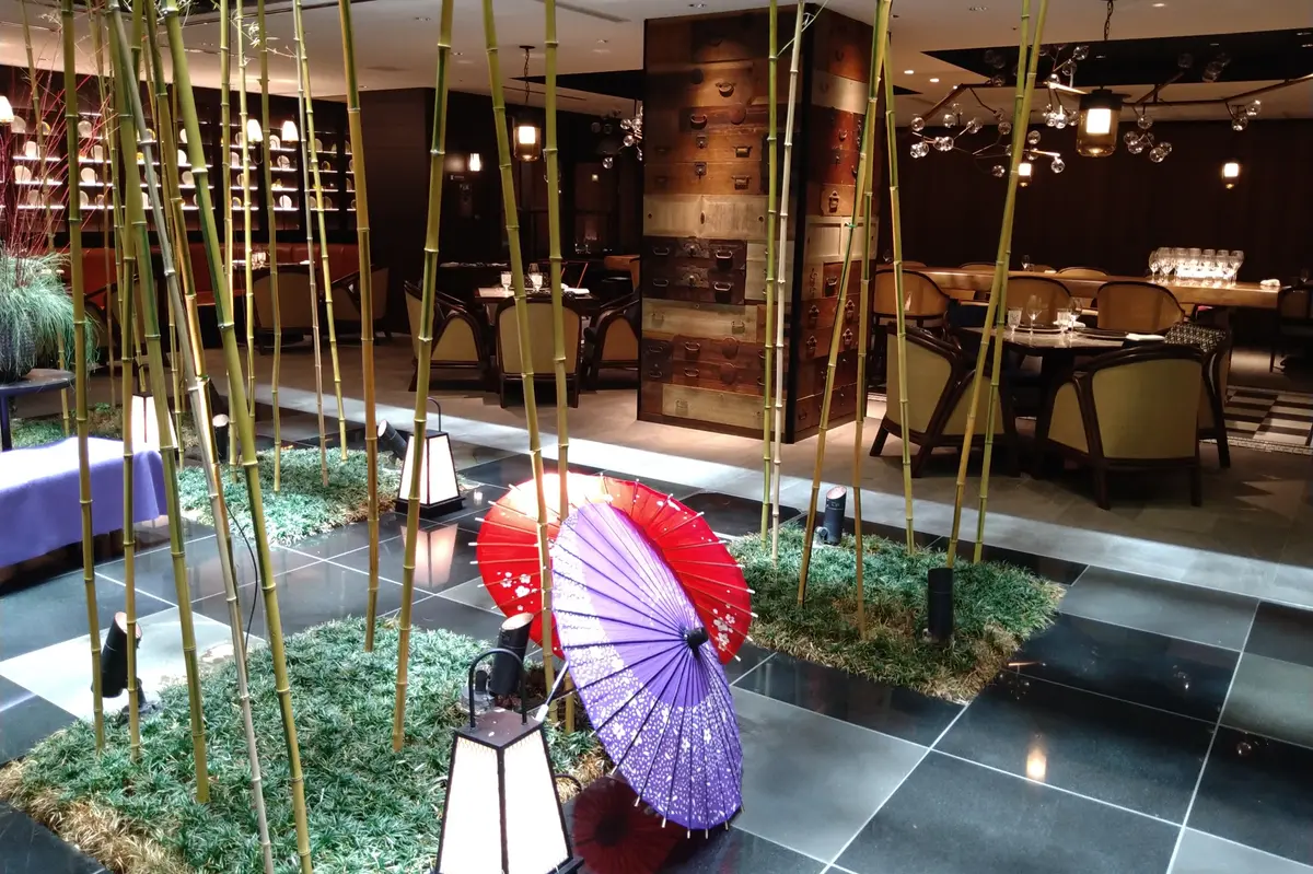 ダーワ悠洛京都