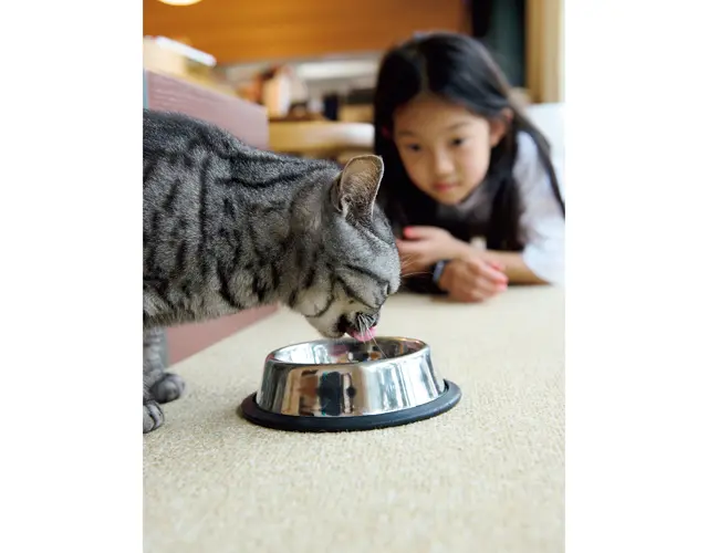 キョロもキッキもドライフード派。長女もしっかりチェック