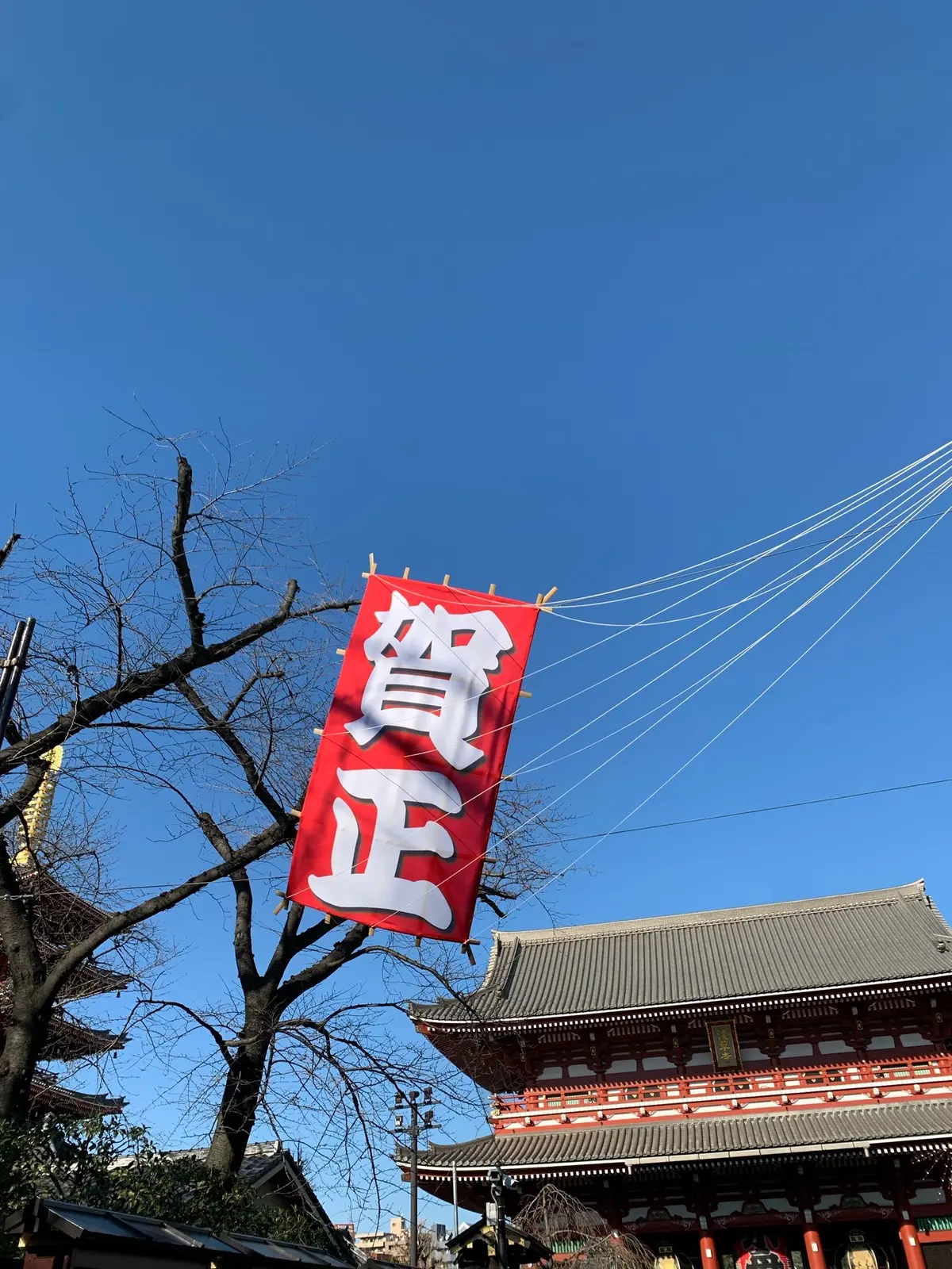 2022年お正月の画像_4