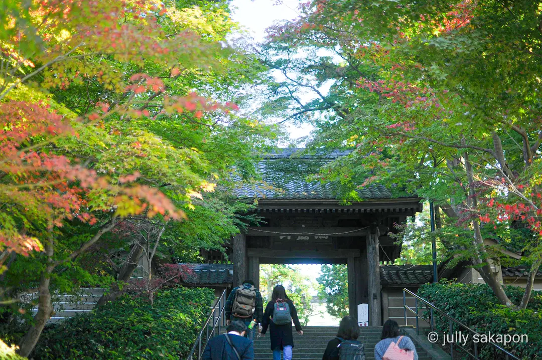 【さかぽんの冒険】フライング紅葉狩り@北の画像_6