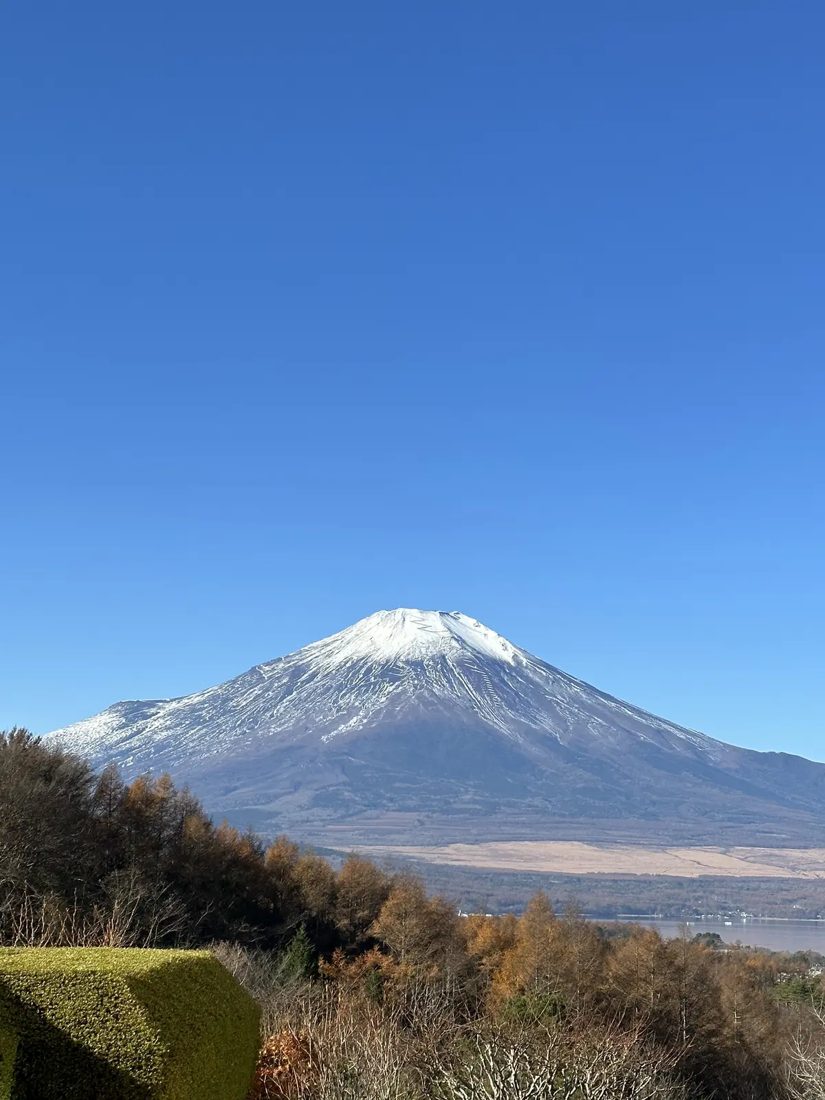 会員制人間ドッグ　グランドハイメディックの画像_1
