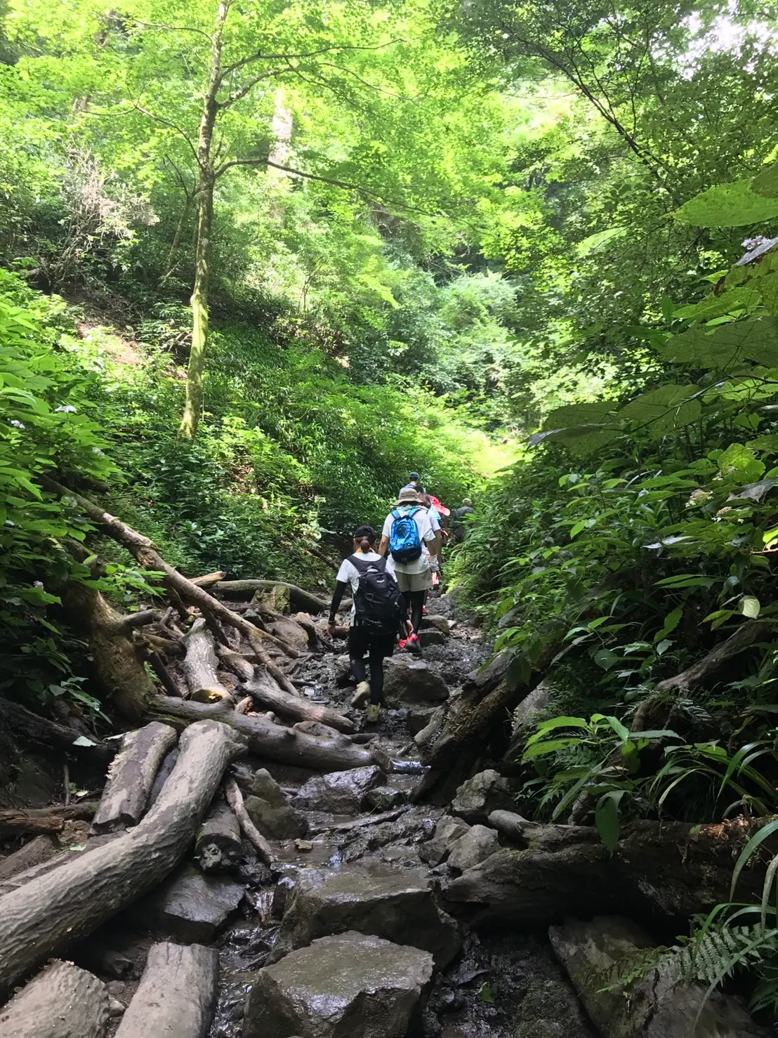 新たな趣味の画像_3