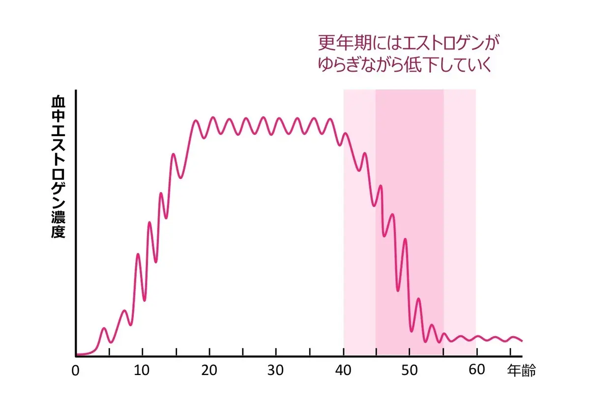 寝汗の原因は、女性ホルモン（エストロゲン）のゆらぎ。40歳から始まり、45歳から55歳までに急激に低下し、60歳まで影響を及ぼす。