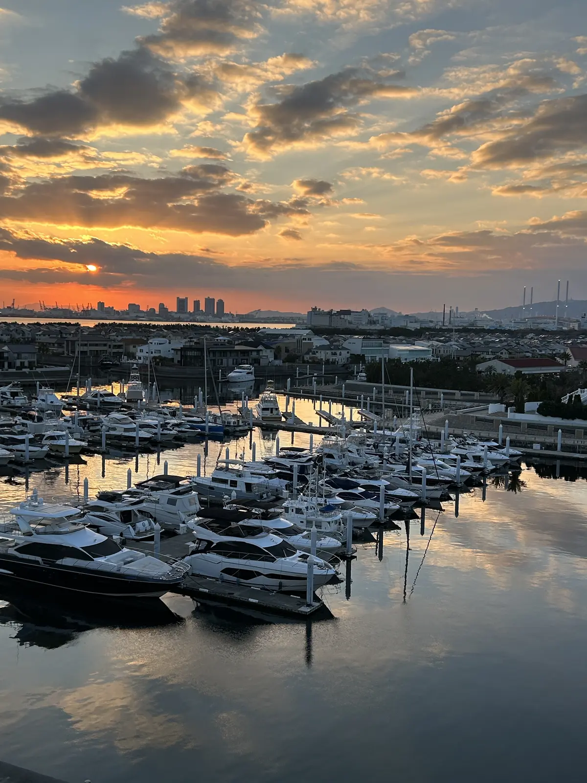 ♡まるでヨーロッパ！？華やかなイエロージの画像_2