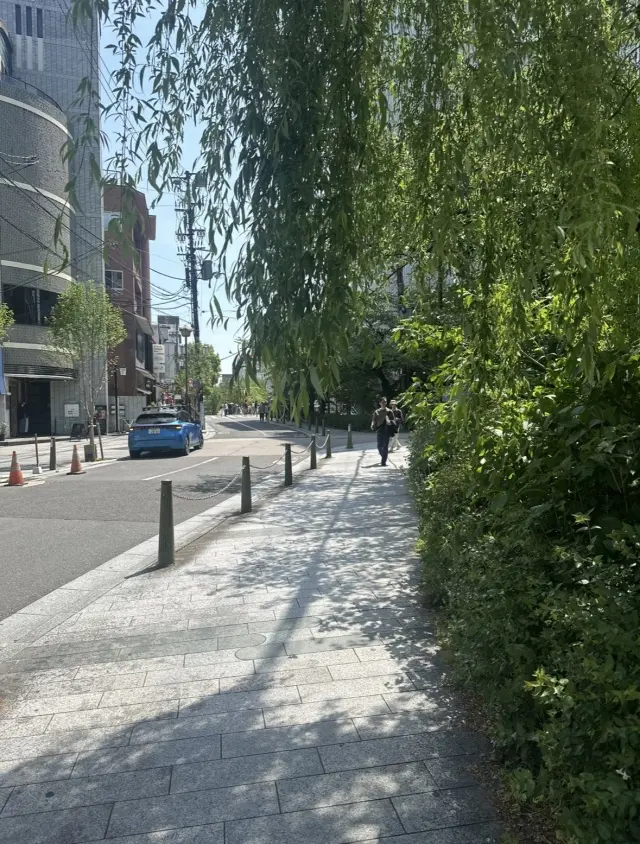 美しい日本、京都でお着物を着てイベントへの画像_2