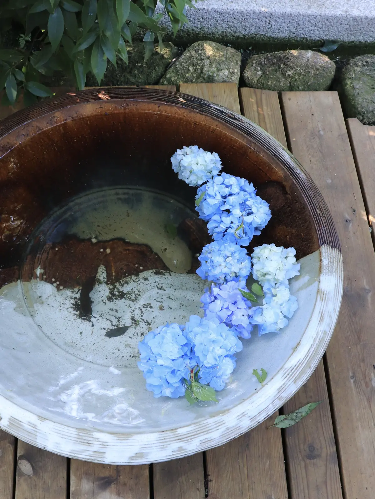 明月院　紫陽花　あじさい　花手水