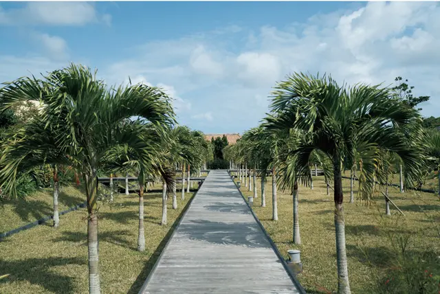 庭の壮大さがそのまま心のラグジュアリーにつながる