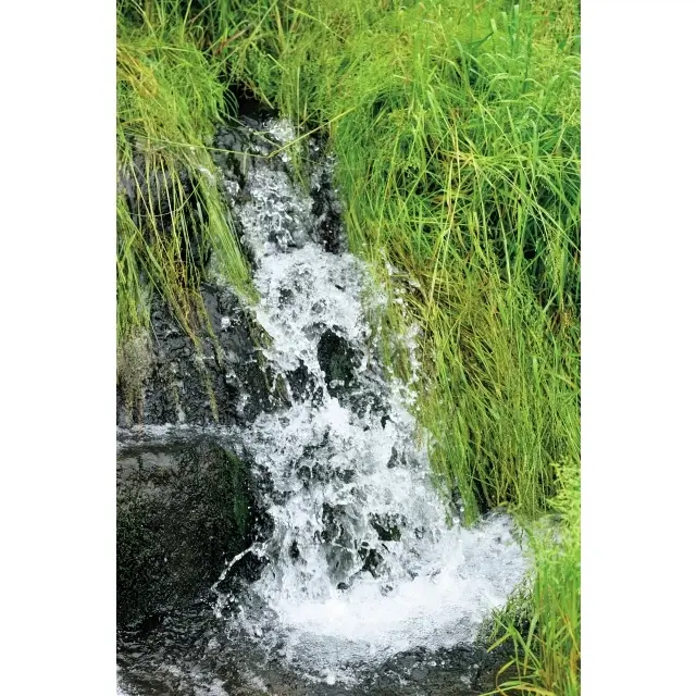 岩肌から水が湧き出る様子は、目にも涼やか。