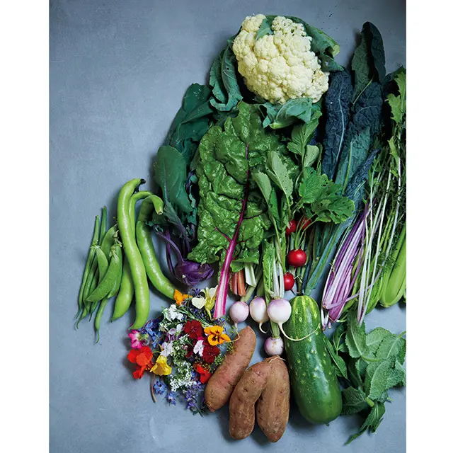 「NOTO高農園」グランシェフ御用達の野菜セット（石川）