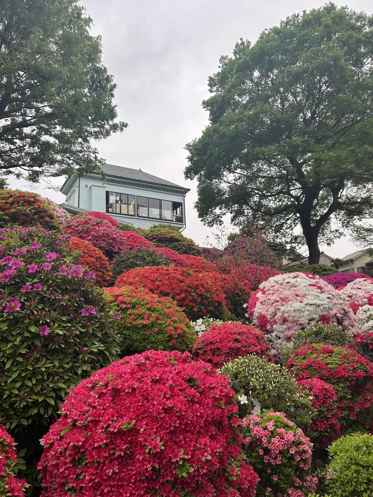 「百聞は一見にしかず」台湾料理の店も文京の画像_9