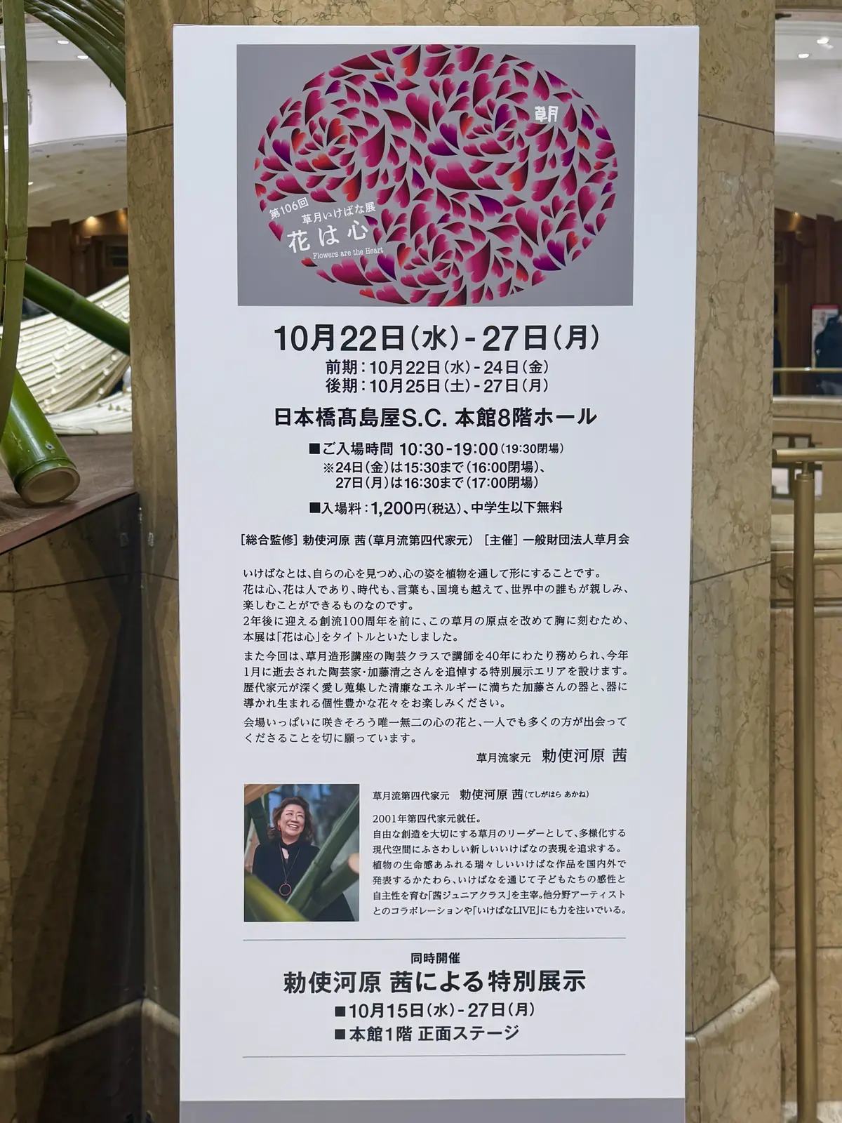 ZARAのワンピースで芸術の秋を満喫！「の画像_6