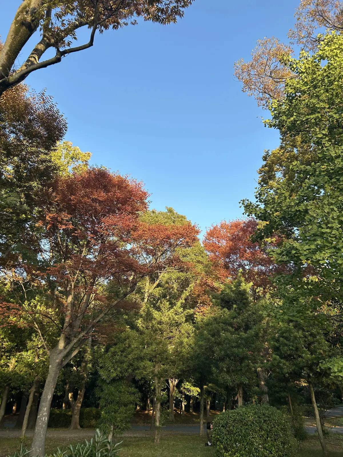 【きれいめ✖️カジュアル✨】トレンチコーの画像_4