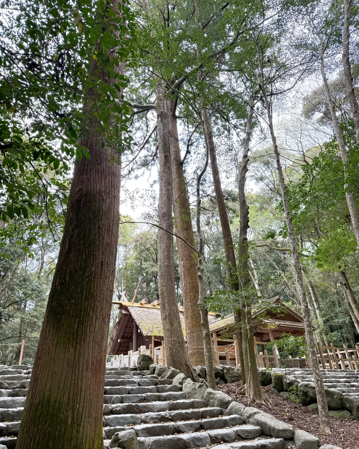 夫婦で巡る伊勢神宮の画像_7