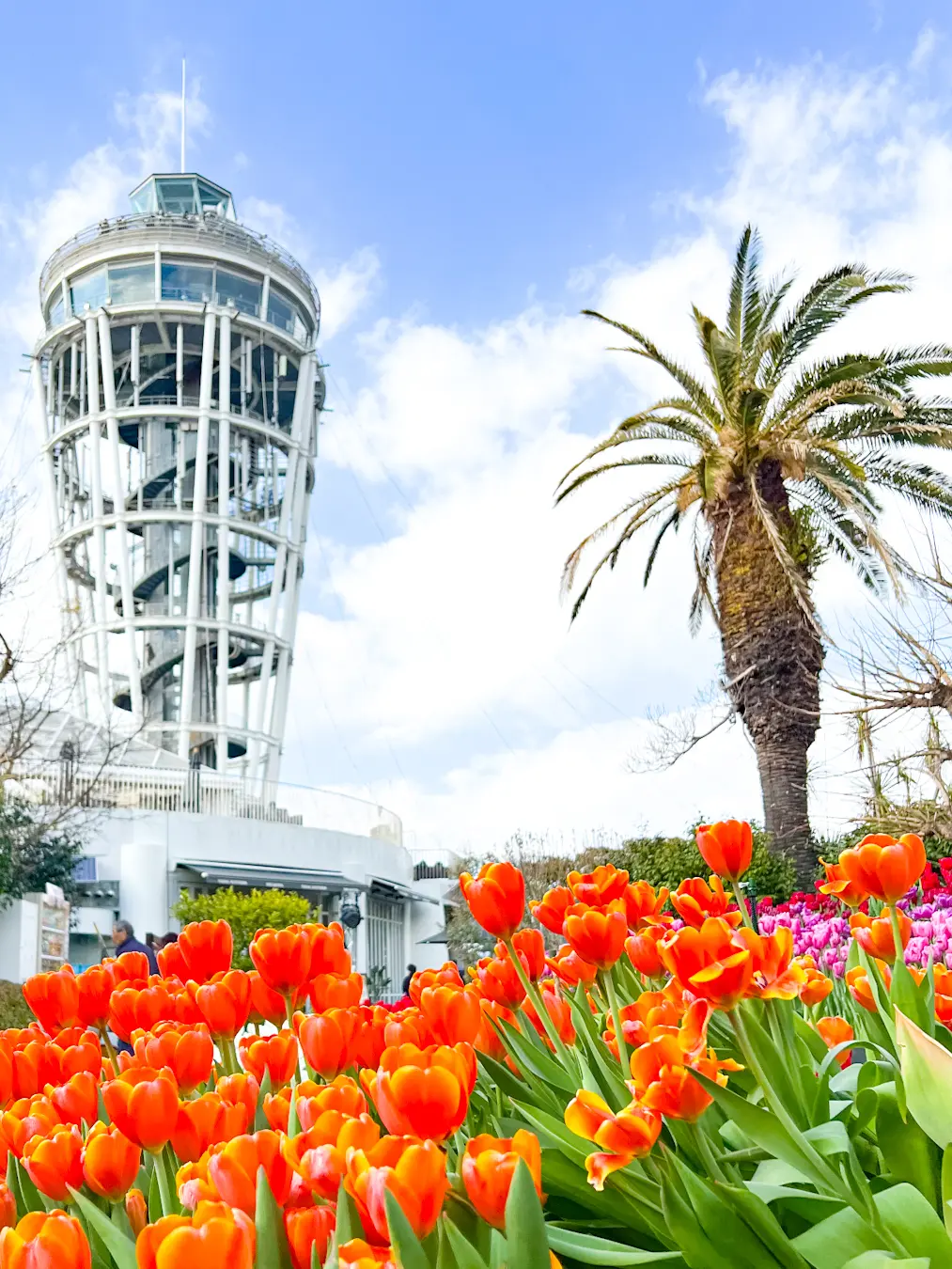 【さかぽんの冒険】new yearの過ごの画像_1