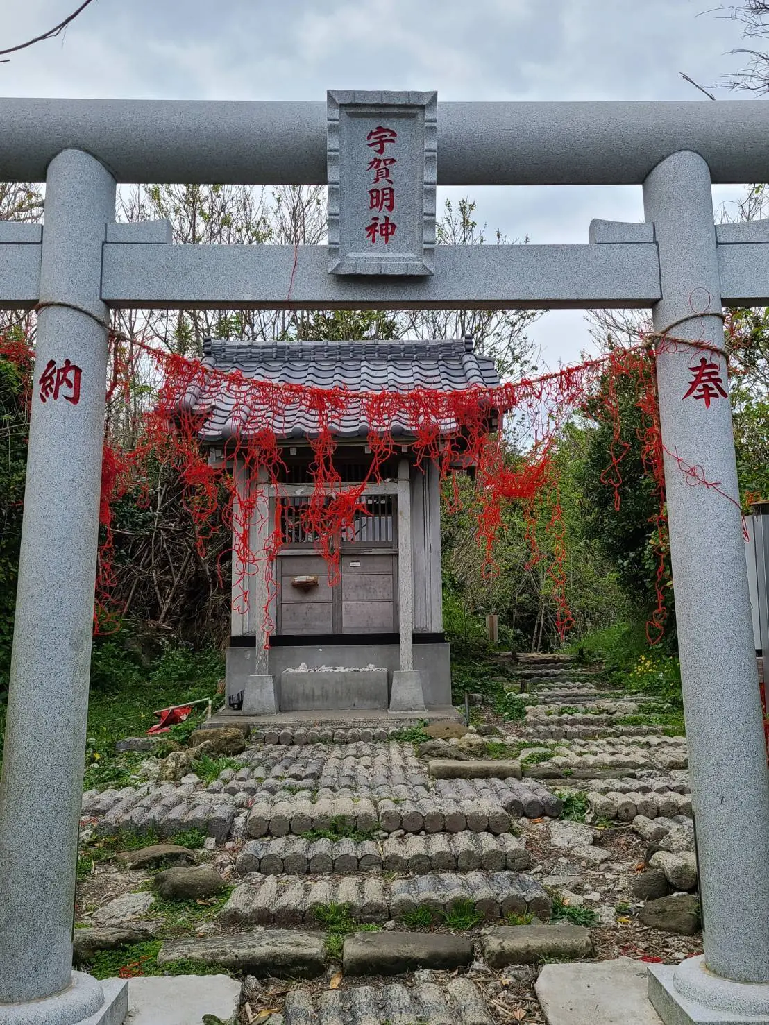 沖ノ島日帰り旅行の画像_2