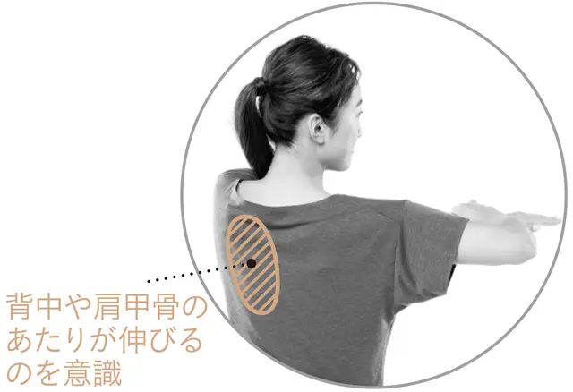 後ろ側から見ると