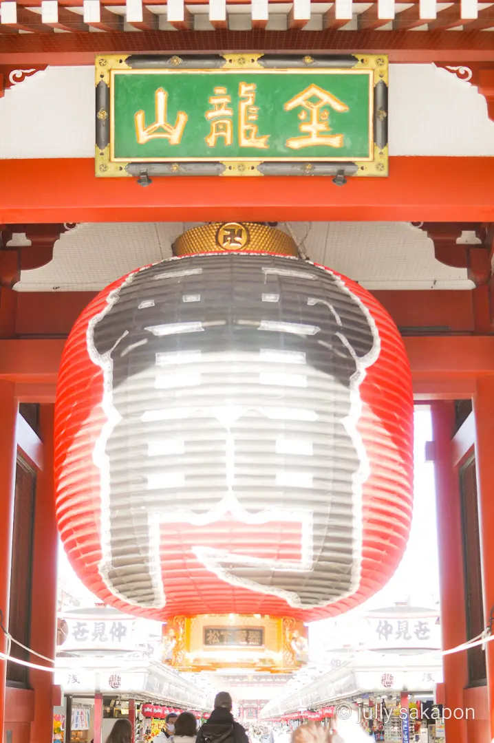 【さかぽんの冒険】東京観光名所 雷門でひの画像_1