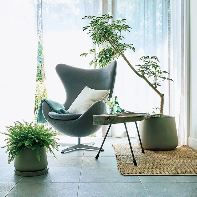 夏の快適インテリア「グリーン」や「リネンの画像_1