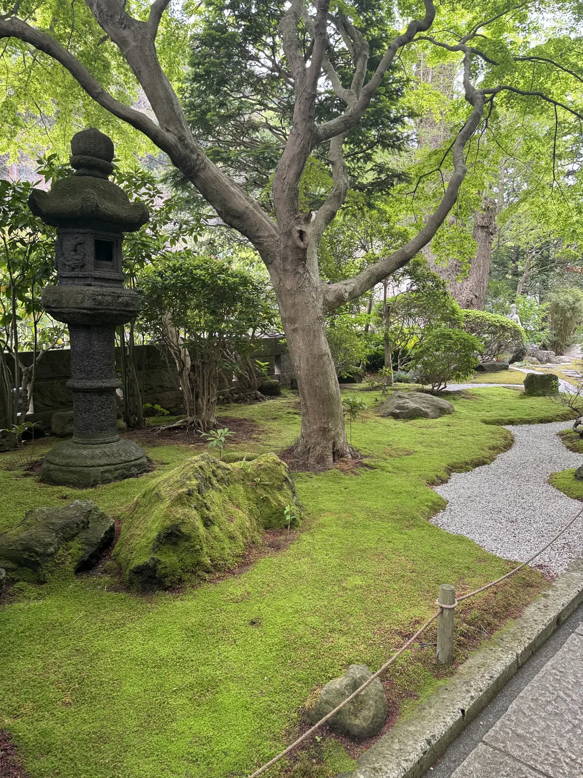 新緑の清々しい風を感じに鎌倉へ🌿の画像_2