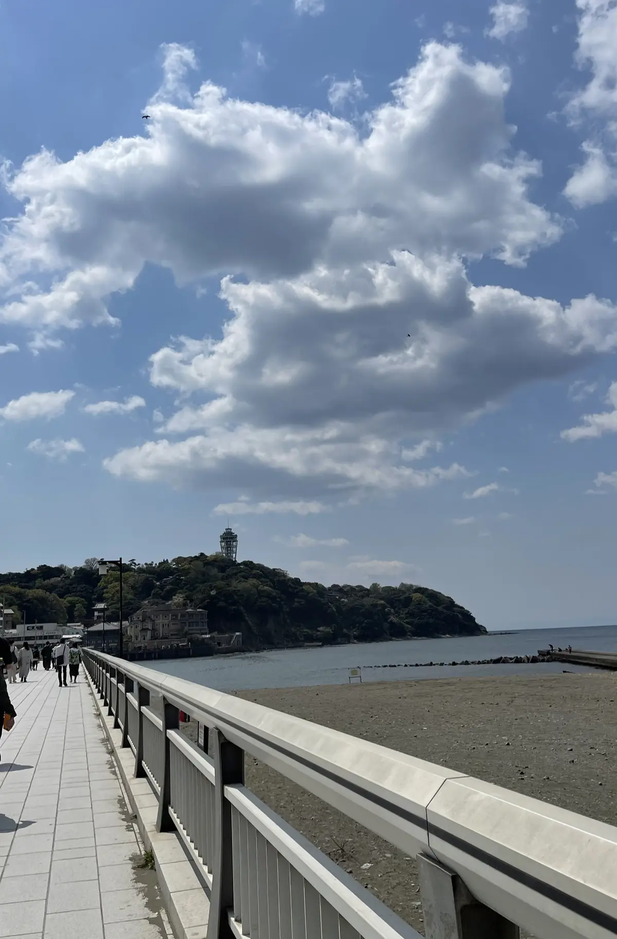 江ノ島散策と絶景テラスランチの画像_1