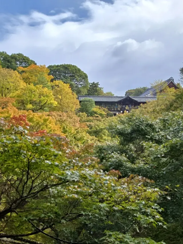 秋の京都ひとり旅・前編 〜弾丸旅の始まりの画像_3