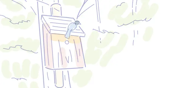 移住先と仕事の仕方はセットで考える