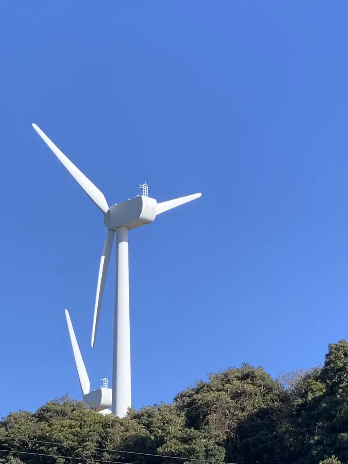 【三崎のマグロ】海の見える食堂 まるよしの画像_3