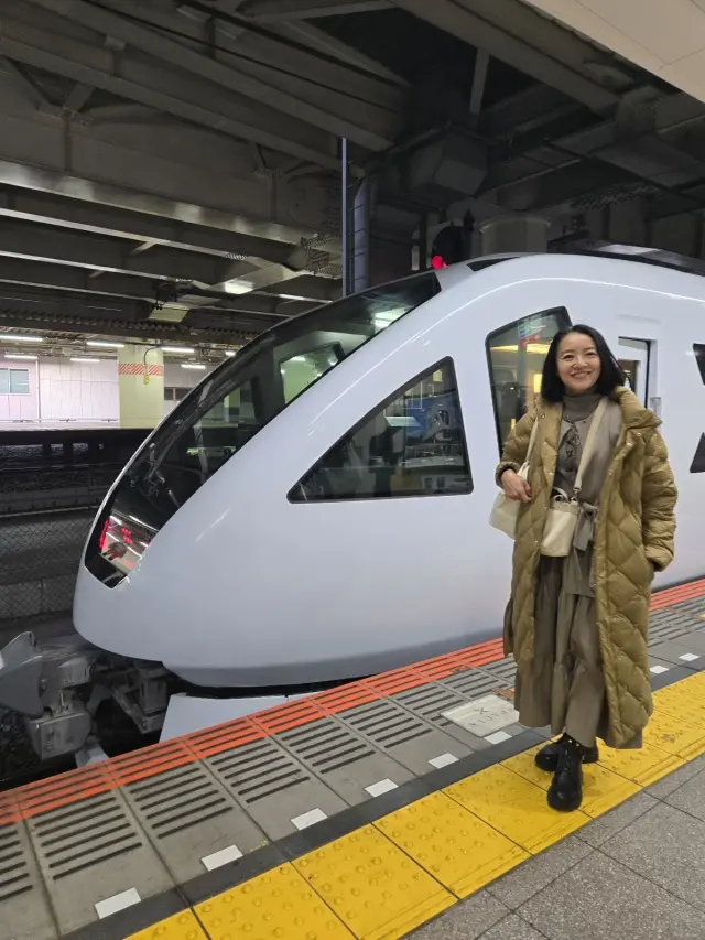 晩秋の日光・宇都宮旅 前編 世界遺産めぐの画像_1