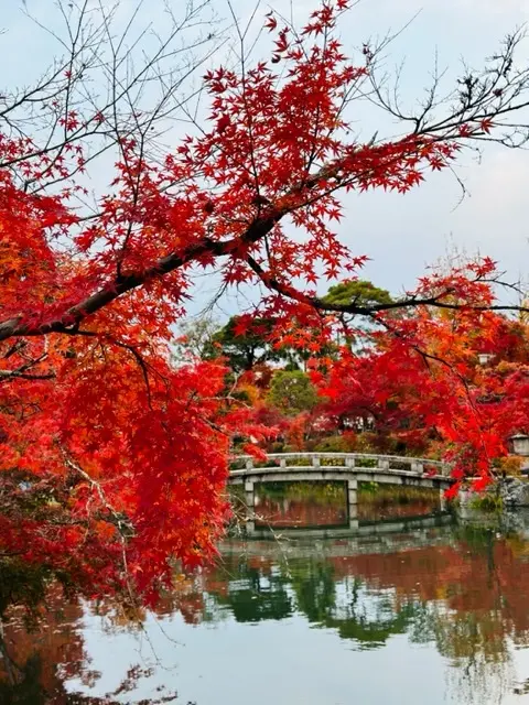 秋の京都巡り♡紅葉の永観堂（禅林寺）〜 の画像_21