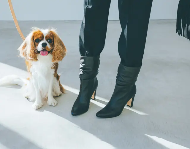 ブーツインスタイルのズームアップ