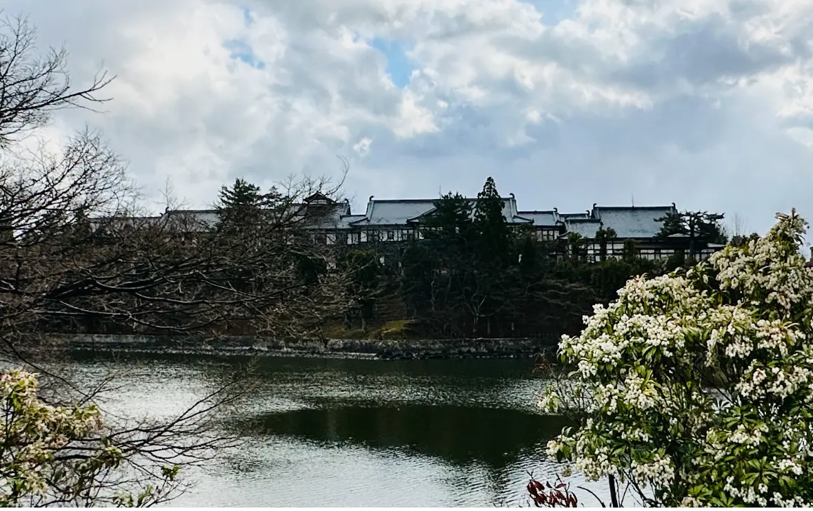 奈良旅行🍽️ホテルご飯編の画像_1