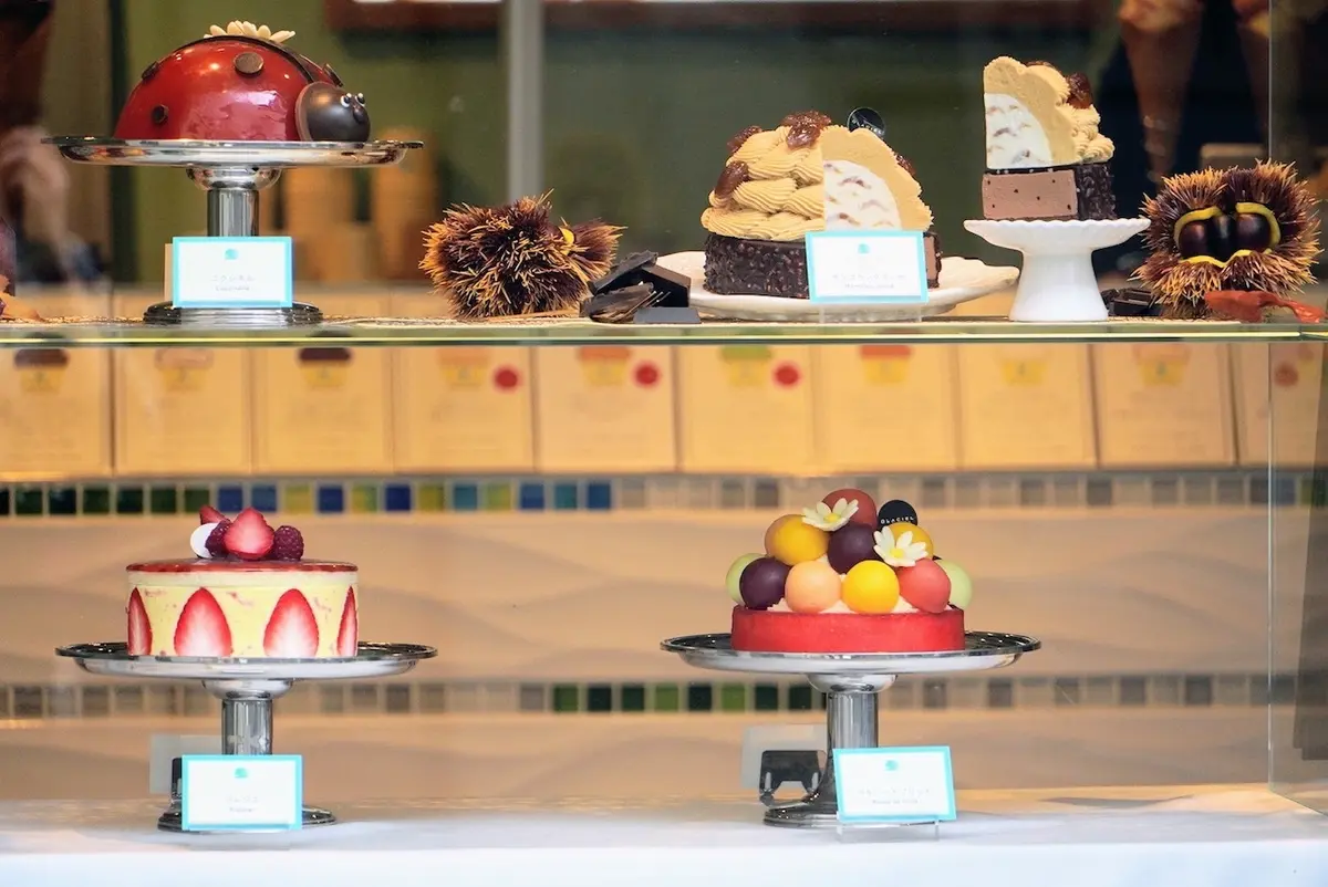 表参道ぶらり旅の画像_1