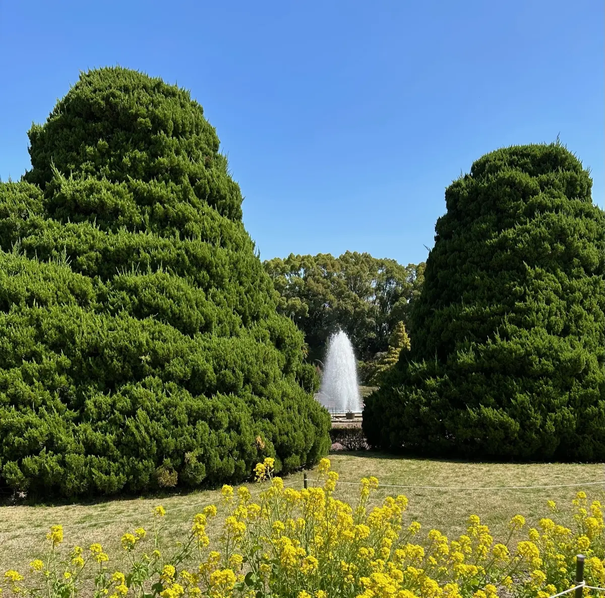 京都府立植物園