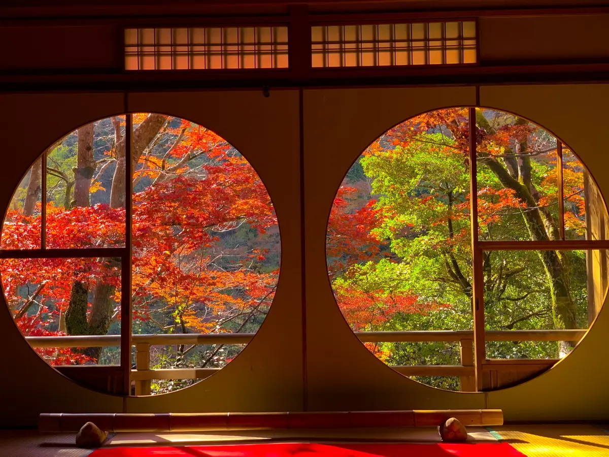 絶対一度は行ってみて欲しい！紅葉の嵐山 の画像_7