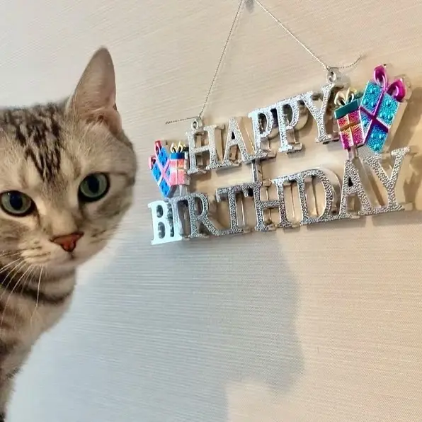 7歳の誕生日の画像_2