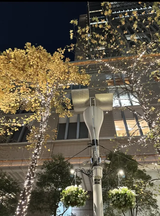 キラキラと輝く、丸の内ストリートを散策。の画像_2