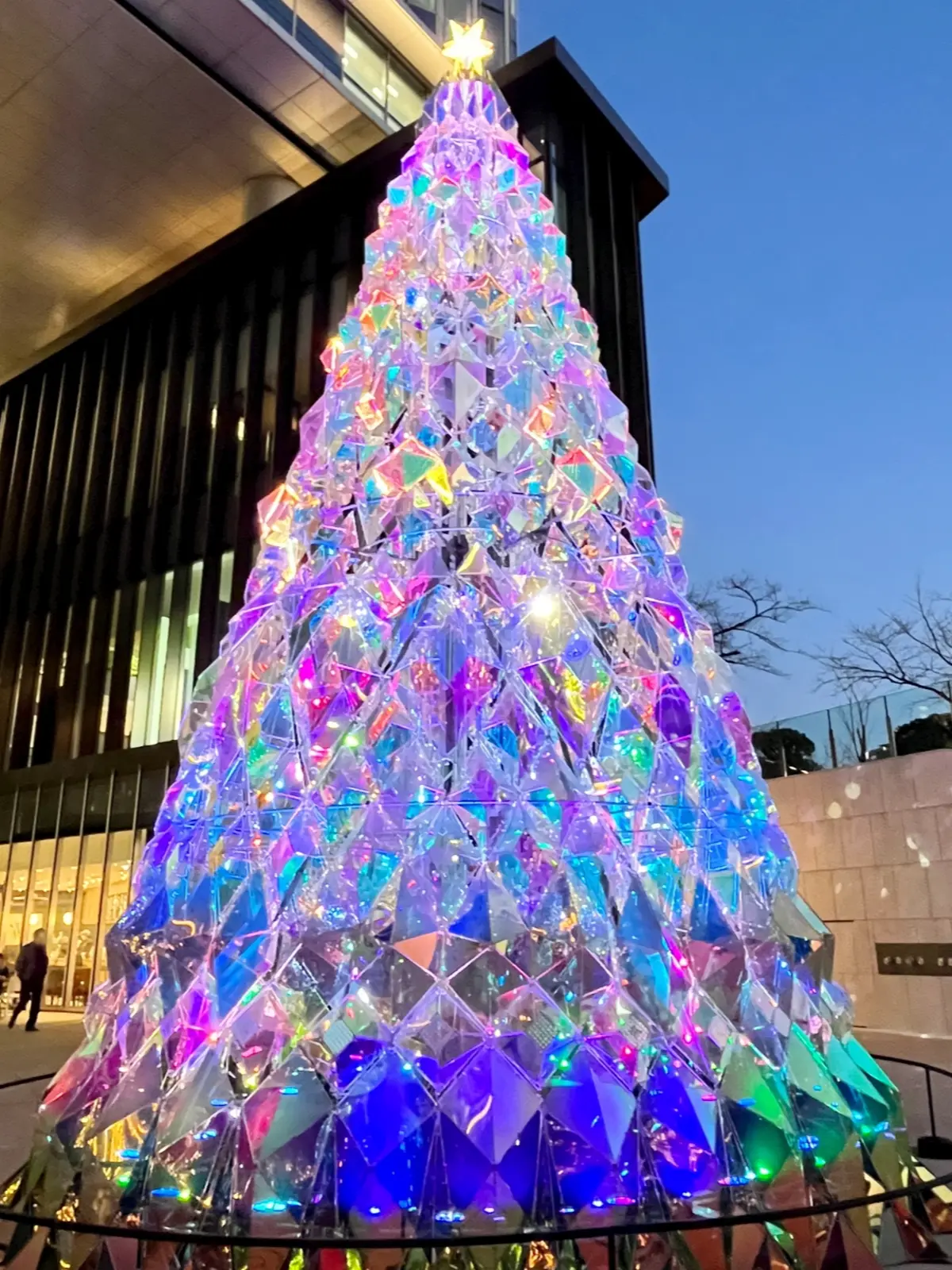 続・続・Jマダムメンバーとキラキラ観賞☆の画像_15