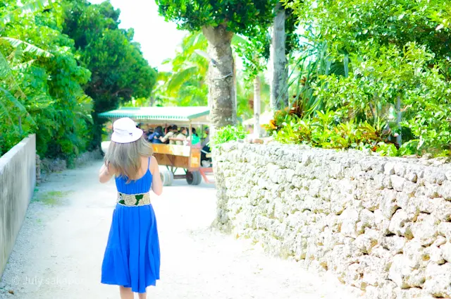 【さかぽんの履歴書】④大人女子こそワンピの画像_3