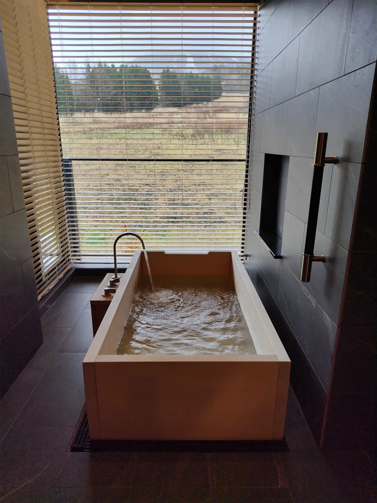 ANAインターコンチネンタル安比高原リゾの画像_14