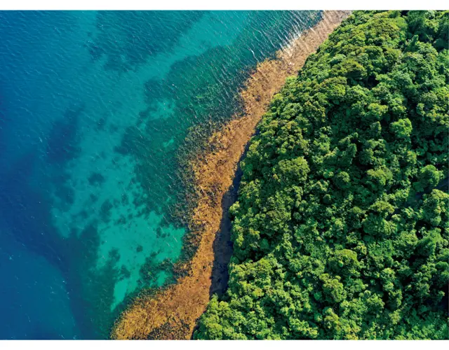 エメラルドグリーンの海は水深が浅く、ハワイや沖縄と近い透明度