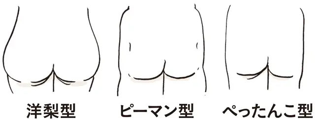 おしりの３タイプ