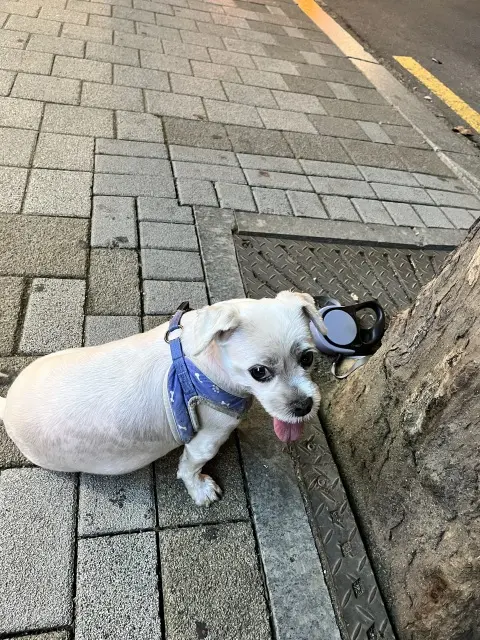 夏休みは一人旅〜韓国旅行③の画像_16