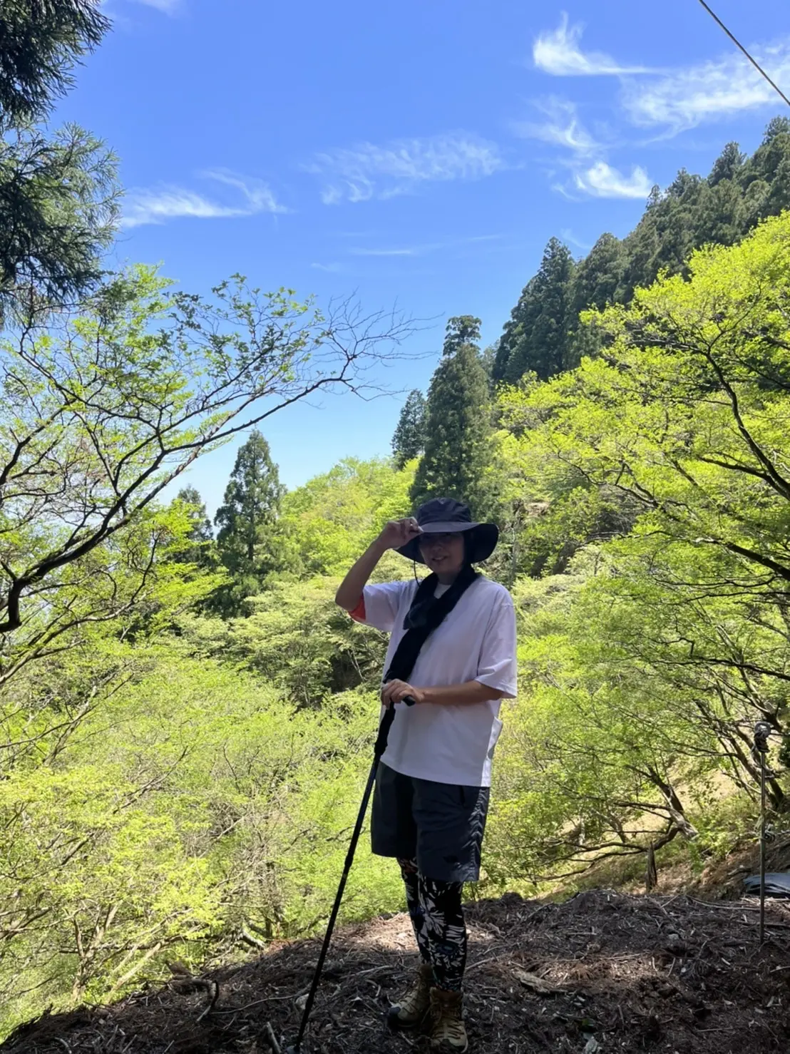 新緑の季節、京都愛宕山に登ってきました。の画像_1