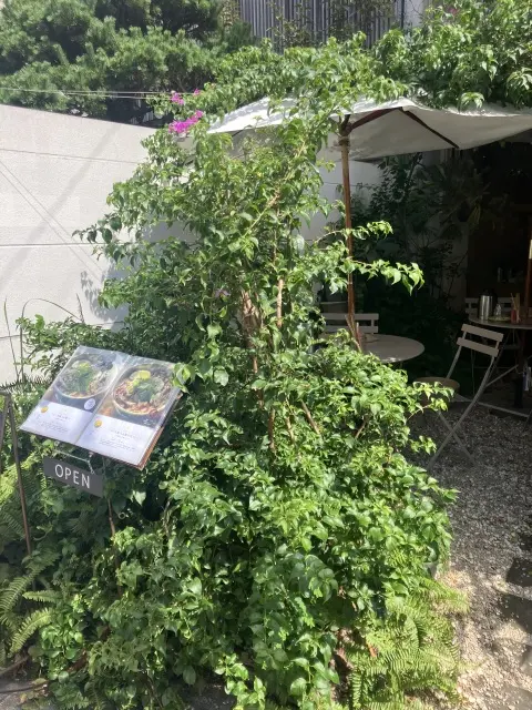 自由が丘おしゃれベトナミーズの画像_1